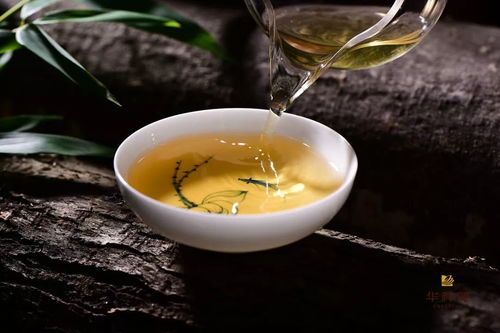 2019年茶叶界大事件盘点：油茶之家的辉煌时刻！
