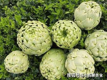 青菜种类图片大全，常见蔬菜你认识多少