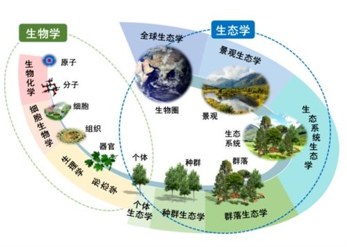 生态林修复， 我们的家园在呼唤