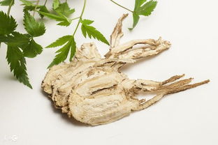 种子撒得越多，产量就越高吗？不一定哦！