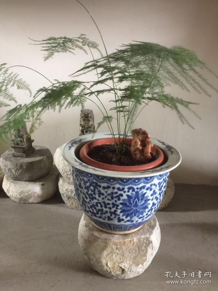 无孔花盆巧拆分，一半藏宝一半谜