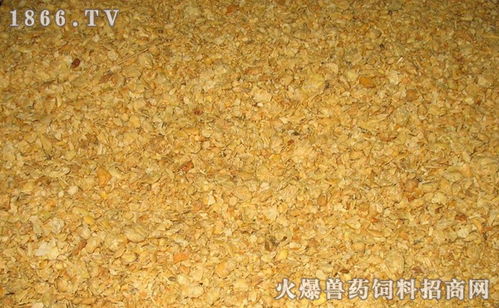 如何通过简单方法快速区分掺假鱼粉与豆粕、麸皮的真伪？