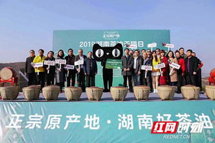 衡阳油茶企业双雄入选国家林业重点龙头企业，引领行业新风尚！
