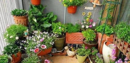 塑料大盆的好处