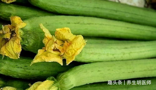 如何科学追肥丝瓜，选对肥料的关键因素是什么