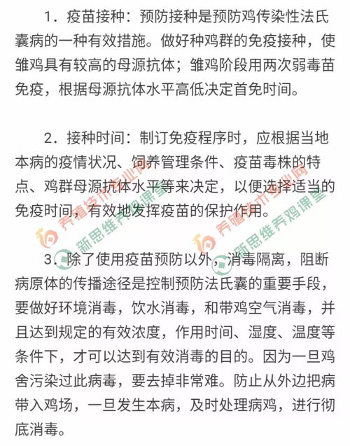 法氏囊病消失，畜牧养殖再迎新篇章
