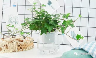 书房或工作区域