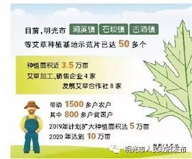 避开误区， 科学使用