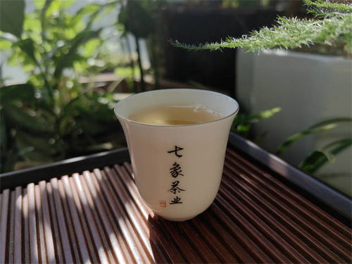 安吉白茶茶农的心声