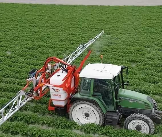 移栽前多久用？这个时间点hen重要