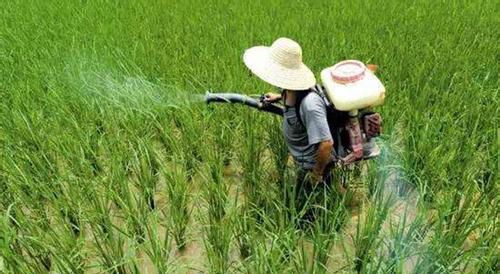 除草农药为什么不Neng大量使用