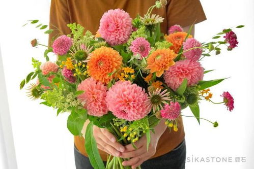 “花卉经营，如何打造爆款产品