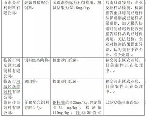 2026年不合格饲料厂整改方案中，食品药品安全实施方案具体执行措施有哪些？