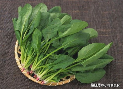 什么是百菌清？