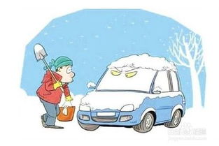 注意事项，养护地柏的小技巧