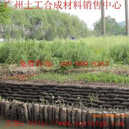 边坡绿化植物与植物纤维毯