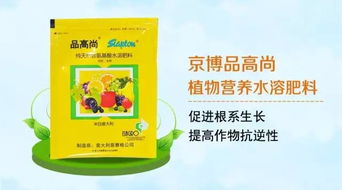 二、百菌清喷施，要讲究方法
