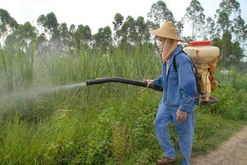 蝗灾肆虐，农药公司如何应对？