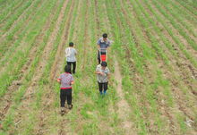 赤峰的气候特点