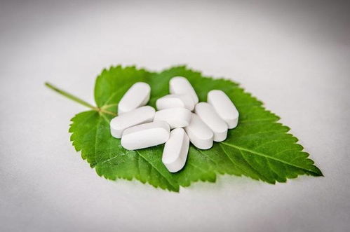 树葡萄的功效与作用是什么？听听专家怎么说