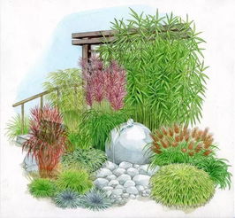 蕨类三剑客， 肾蕨在湿度70%环境每月长新叶5-6片