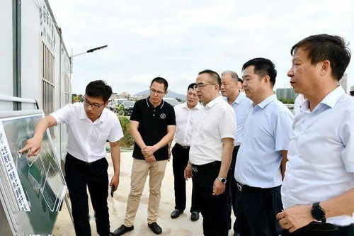 金弹子什么时候进行剪枝最合理，能显著提高产量呢