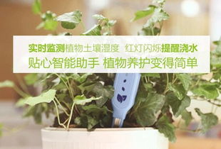 不同季节，浇水有讲究