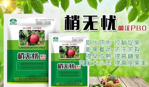 柳树枝条——天然营养液