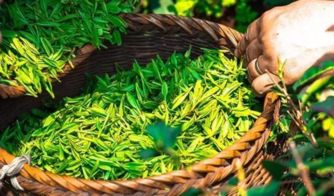 购买渠道，如何选择？