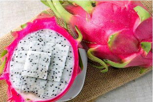 菠菜的种植时间