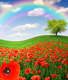 适合庭院草地三、 四月开花的品种