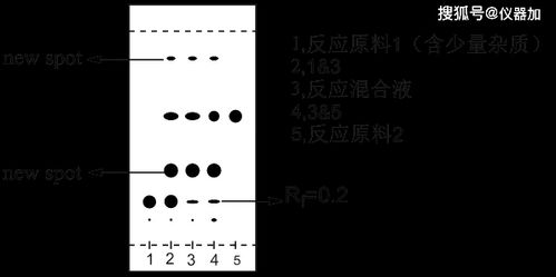 3. 薄层色谱法：层层递进的分离艺术