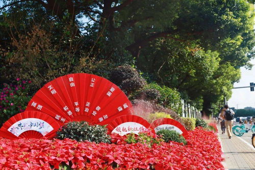 花坛的美丽守护者