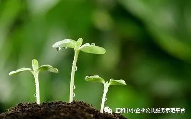 如何让种子睡得香