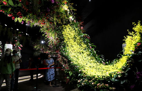 花卉博览会，一幅缤纷生态画卷