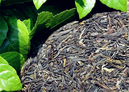生普洱茶与熟普洱茶，源于云南古树茶