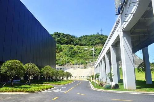 深圳市伟乔园林绿化有限公司