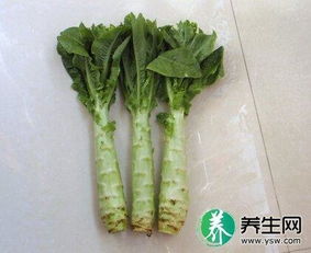 土壤肥力检测， 适量施肥