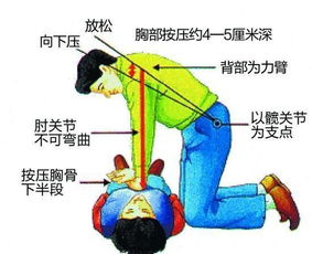 桂花烂根急救指南：快速解决根部问题，恢复生机！