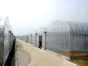 花卉大棚的市场前景