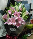 海口花草市场的绿色宝藏