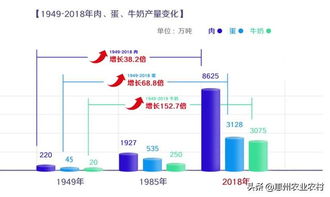 “农业养殖场财务优化管理策略”