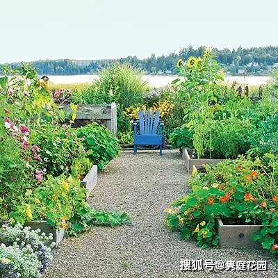 首选耐阴花， 美不胜收