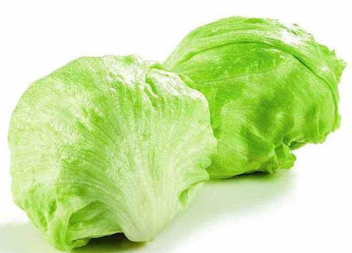 “生菜根变宝，种出新菜花，家居绿植新宠！”