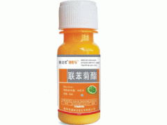 普通杀虫剂Neng否杀死跳蚤