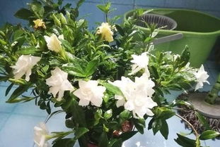 张大爷的种子保存法