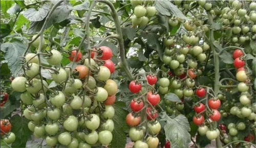 十年血泪经验谈：