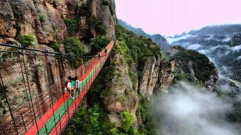 雁荡山特产—四方福来茶价格一览，批发优惠大揭秘！