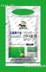 千金子这个小东西