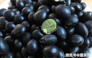 尖叶黑：我国最新培育的黑豆新品种